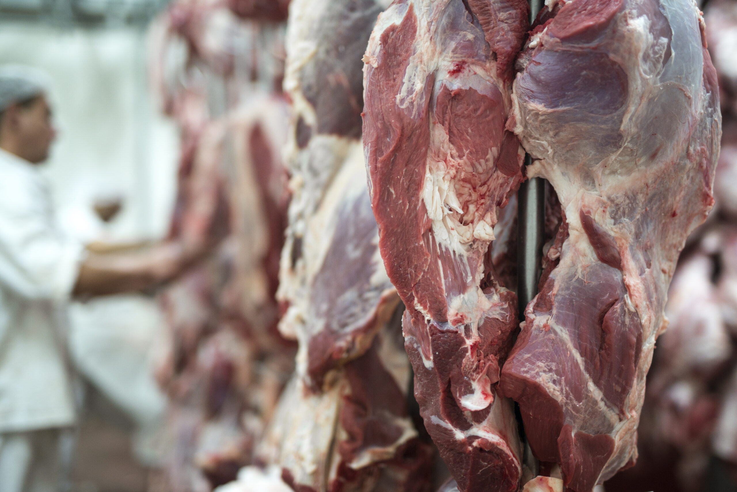 Wholesale Meat Supply